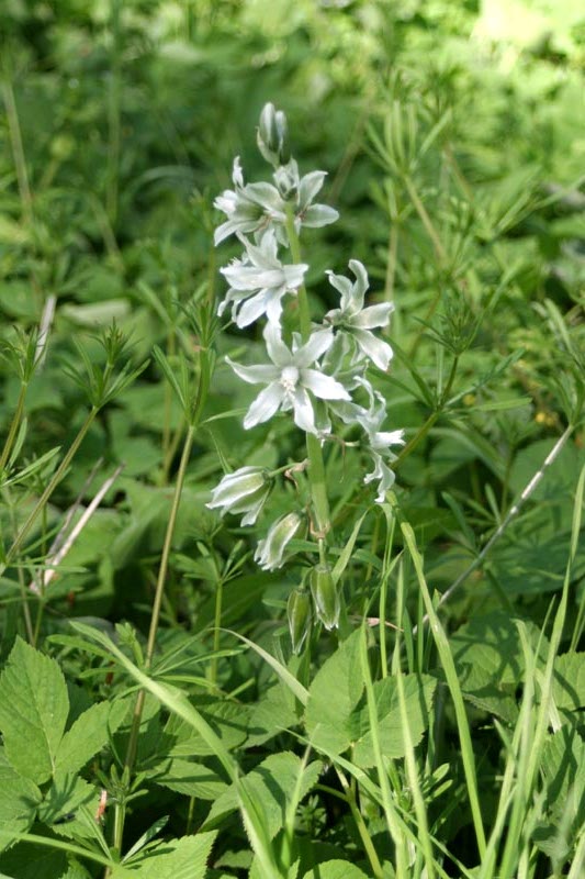 Killikus&reg; Fotographie